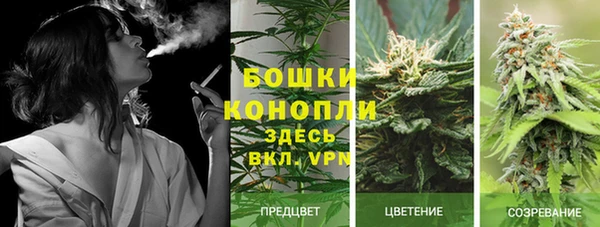шишки Алексеевка