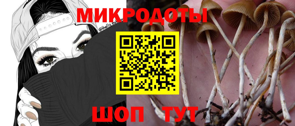 Галлюциногенные грибы MAGIC MUSHROOMS Всеволожск