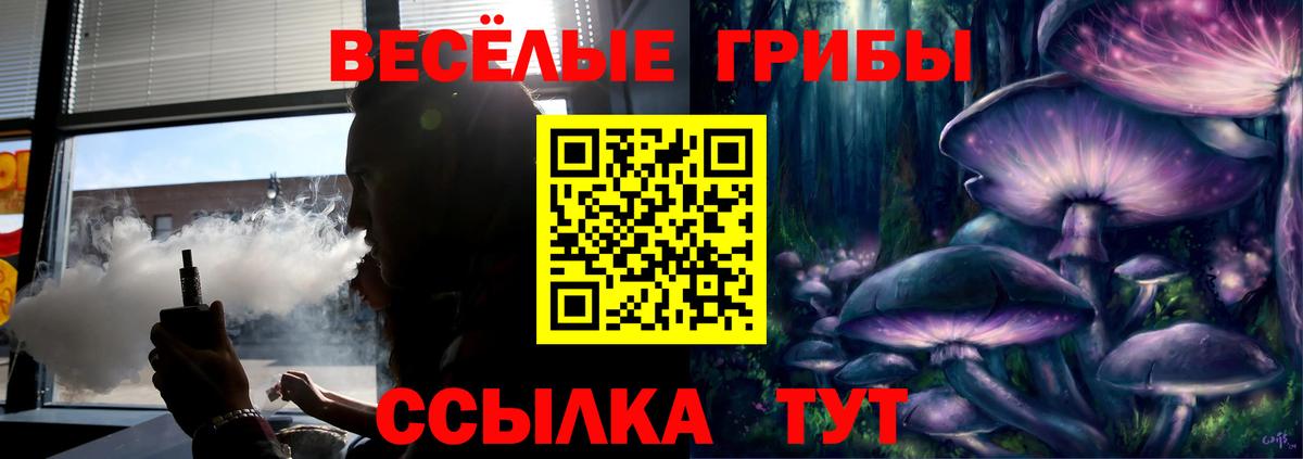 Псилоцибиновые грибы Psilocybine cubensis  Вход с VPN  Всеволожск  Галлюциногенные грибы GOLDEN TEACHER 